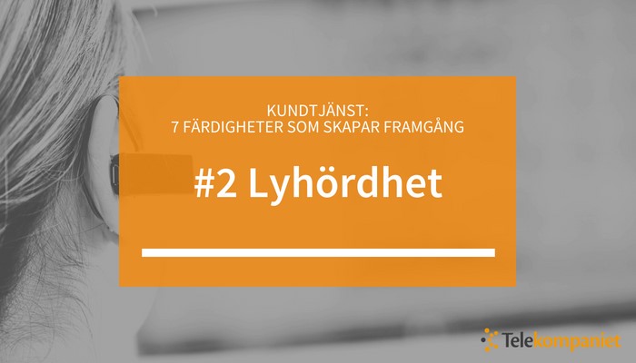 02-kundservice-fardigheter-lyhordhet